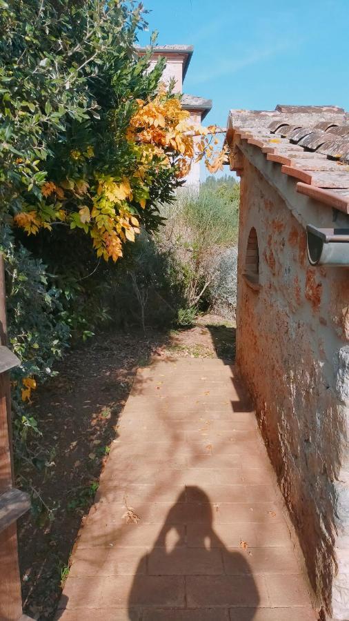 Cosy Country Room Garden Sovicille Exterior foto