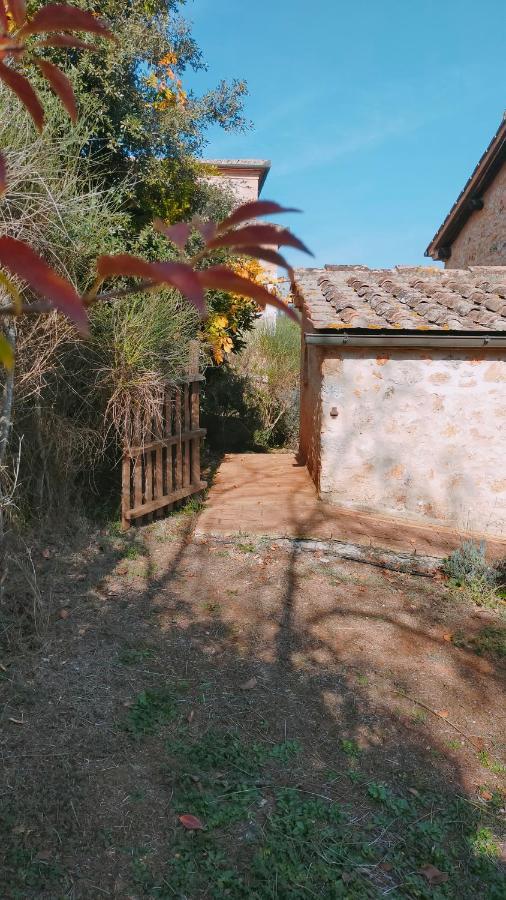 Cosy Country Room Garden Sovicille Exterior foto