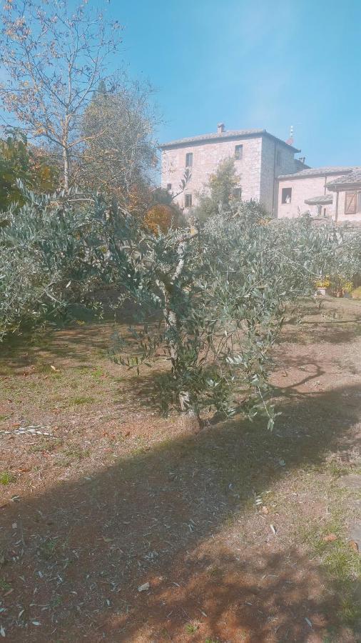 Cosy Country Room Garden Sovicille Exterior foto